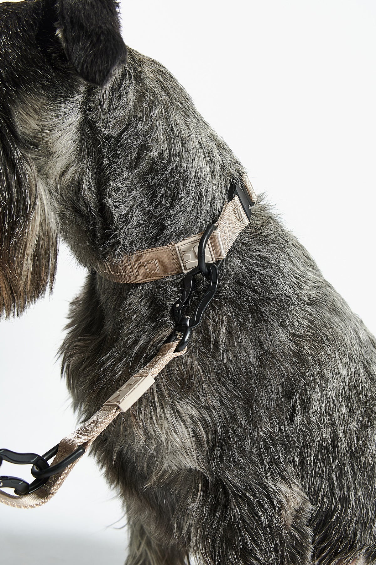 Modena Halsband Grolive