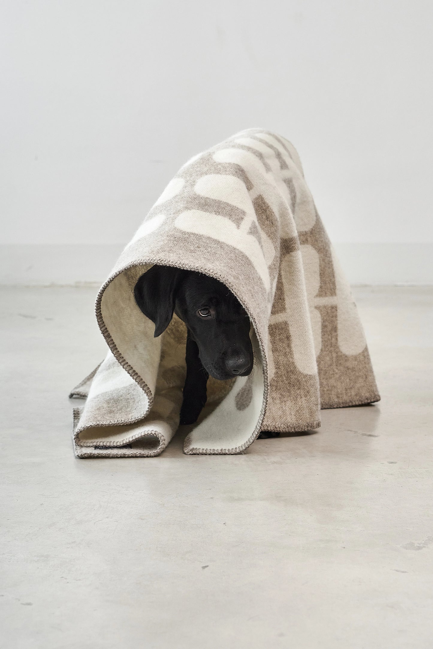 Flora Hundedecke Cappuccino – Natur