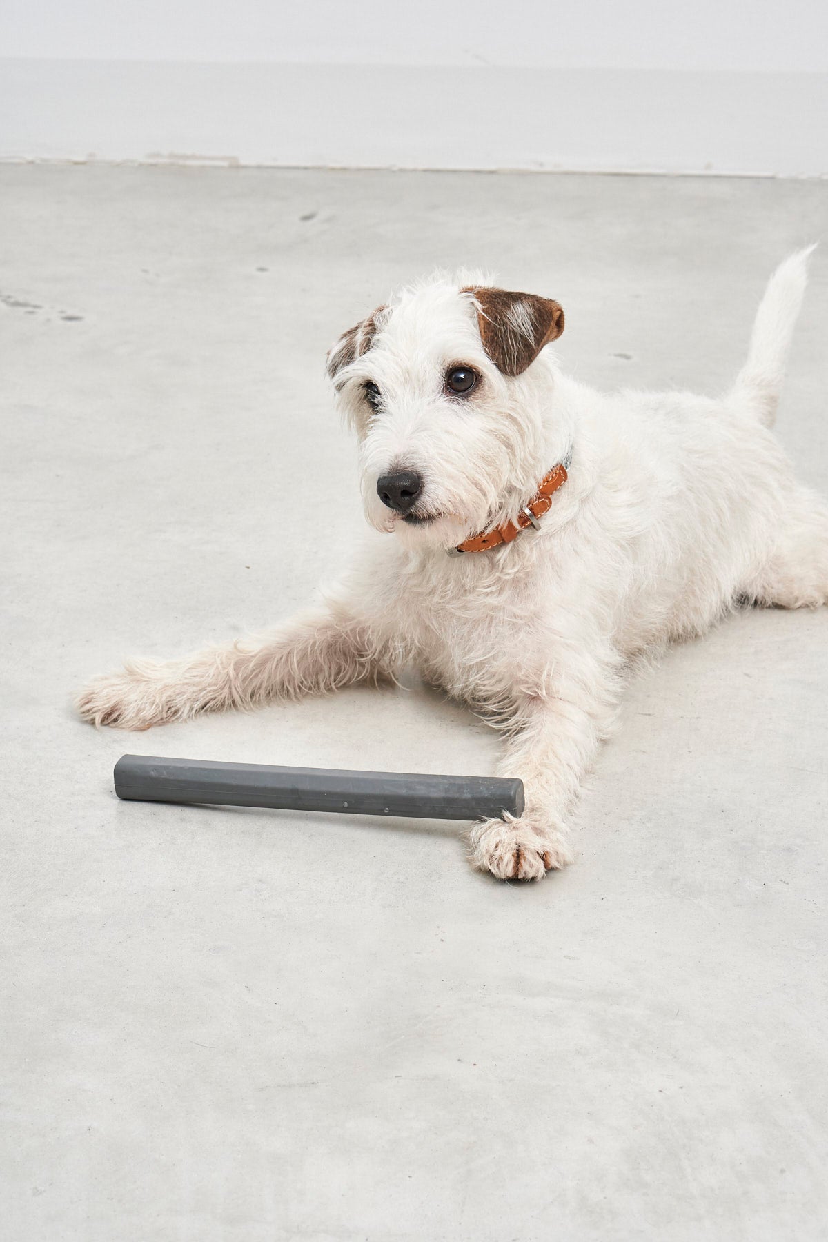 MiaCara Apportierstock Ramo in Salbei