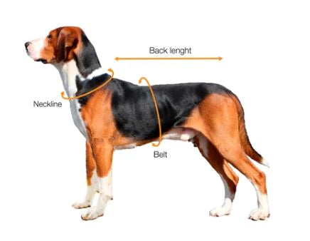 Paikka Visibility Wintermantel indigo