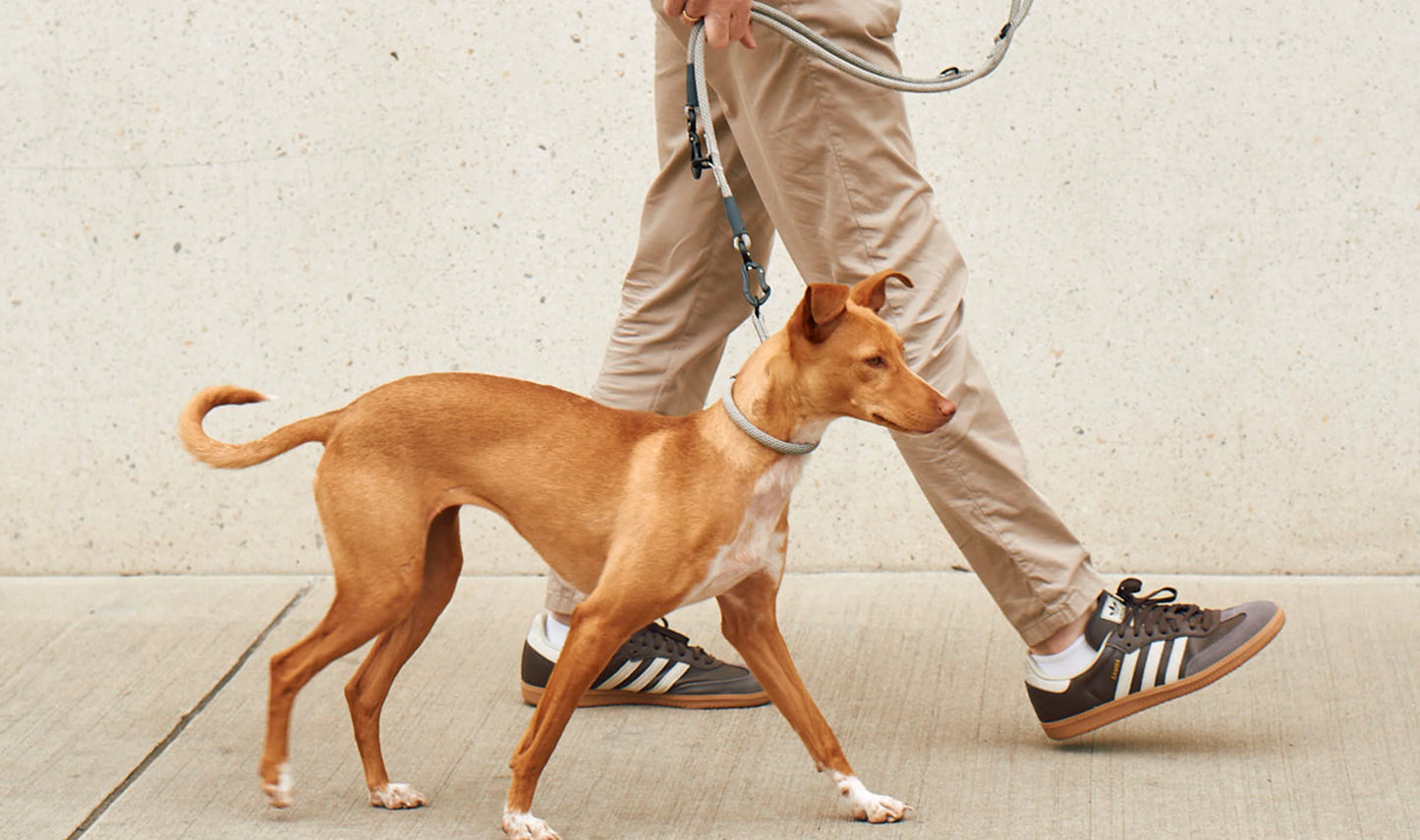 Monza - martingale collar