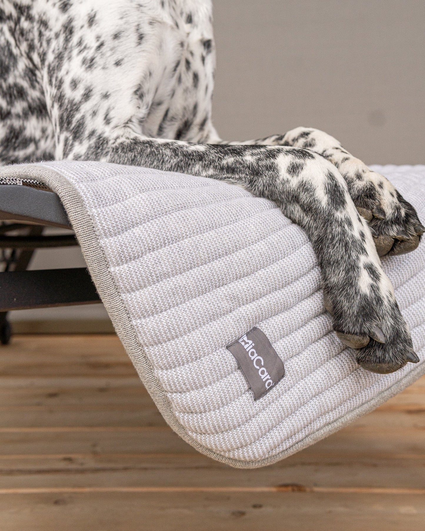 Onda Hundedecke in kiesel