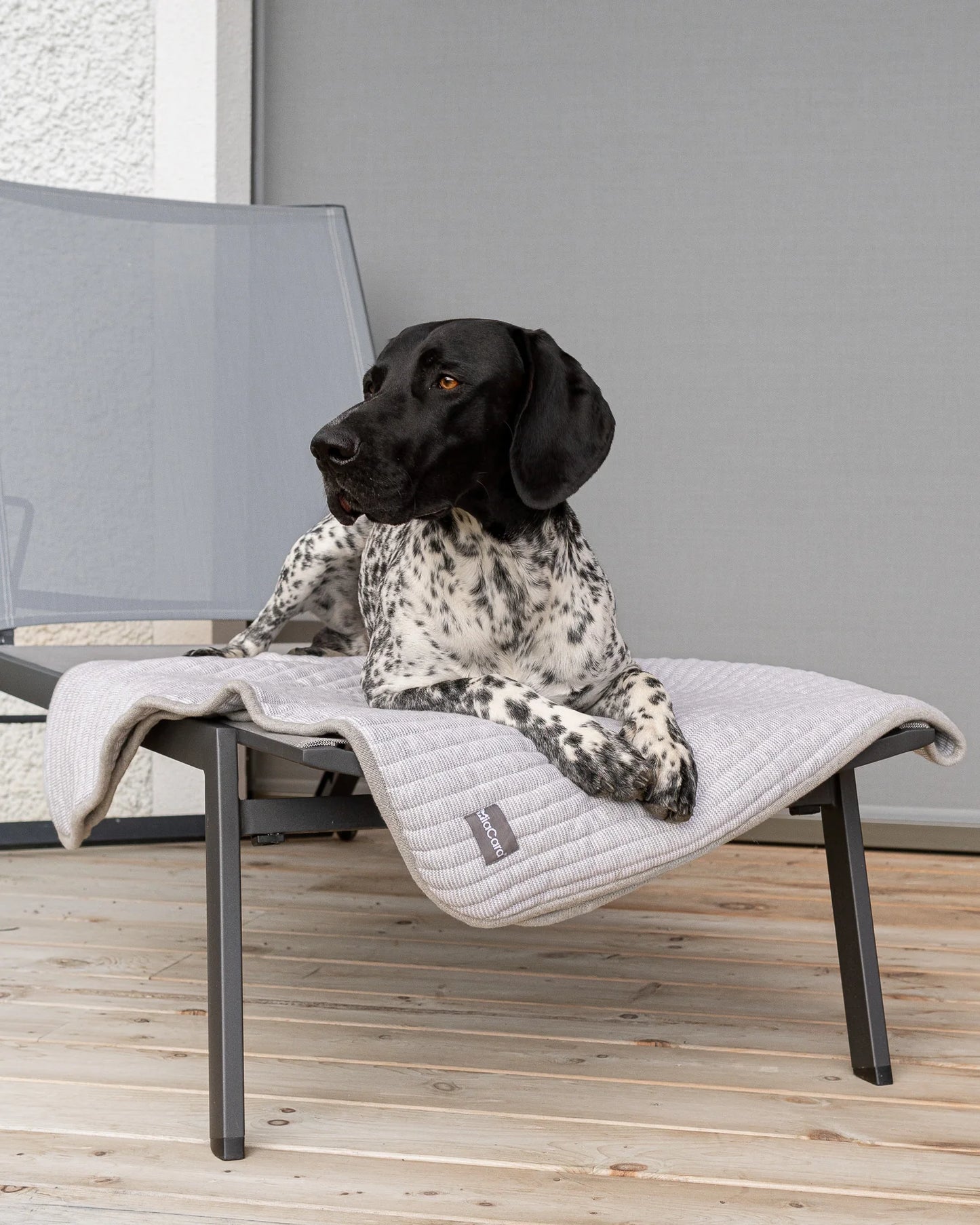 Onda Hundedecke in kiesel