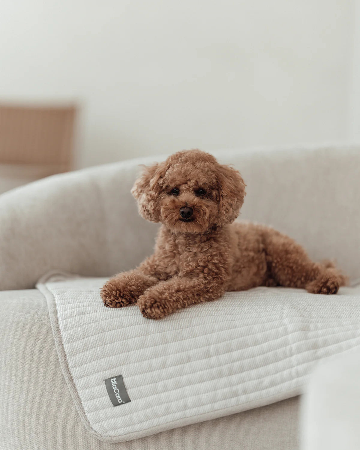 Onda Hundedecke in greige