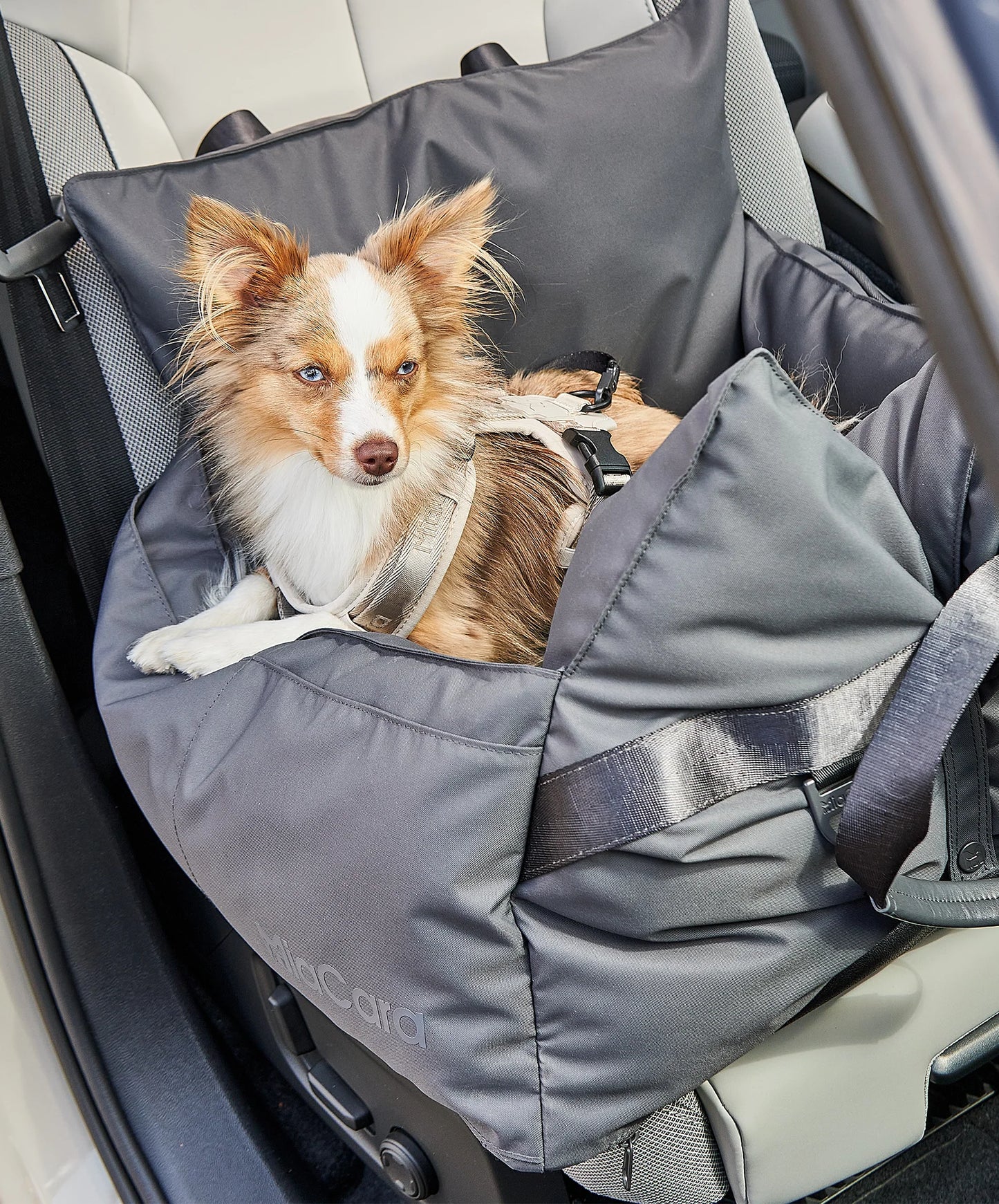 Viaggio Autositz und Reisebett