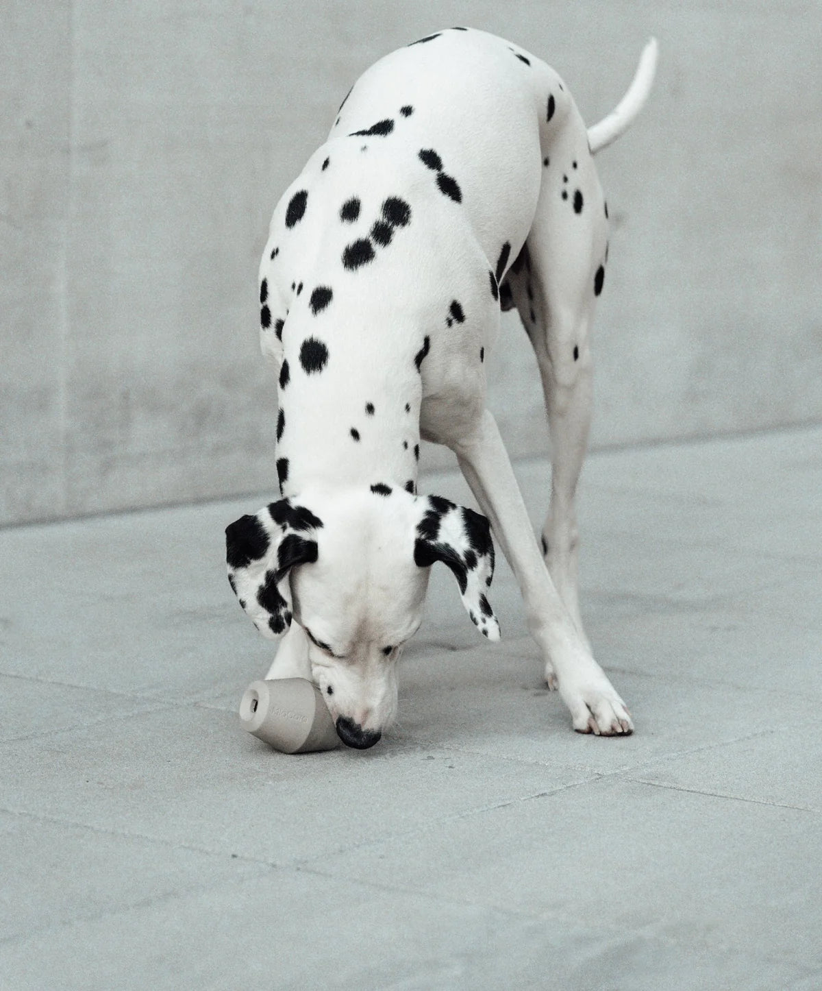 Cono Beschäftigungsspielzeug Schiefer