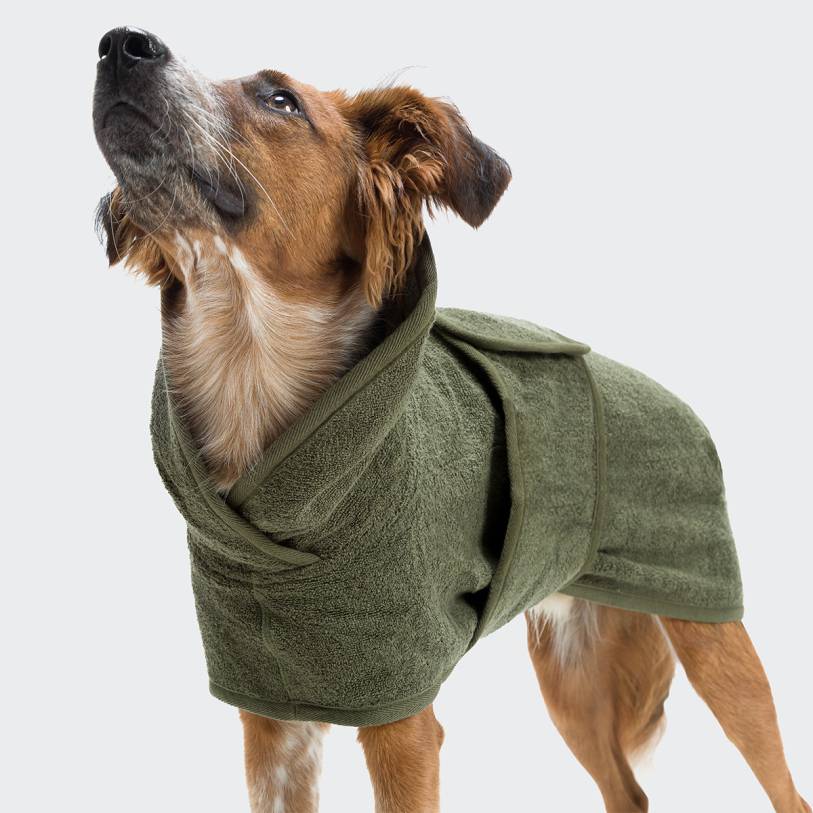 Hundebademantel Föhr Sage mit Handtuch