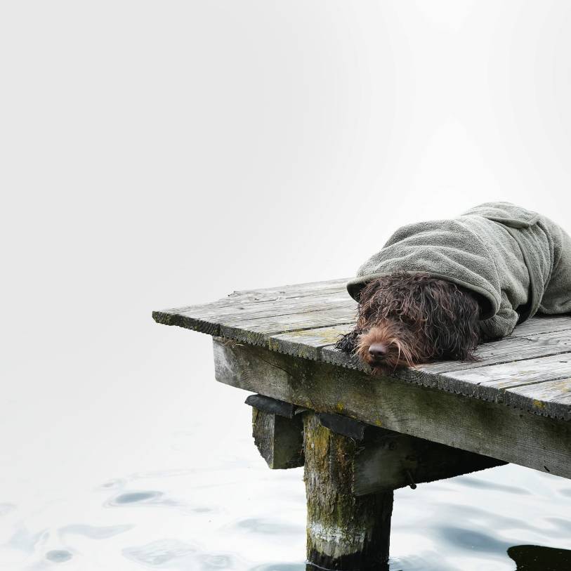 Hundebademantel Föhr Sage mit Handtuch