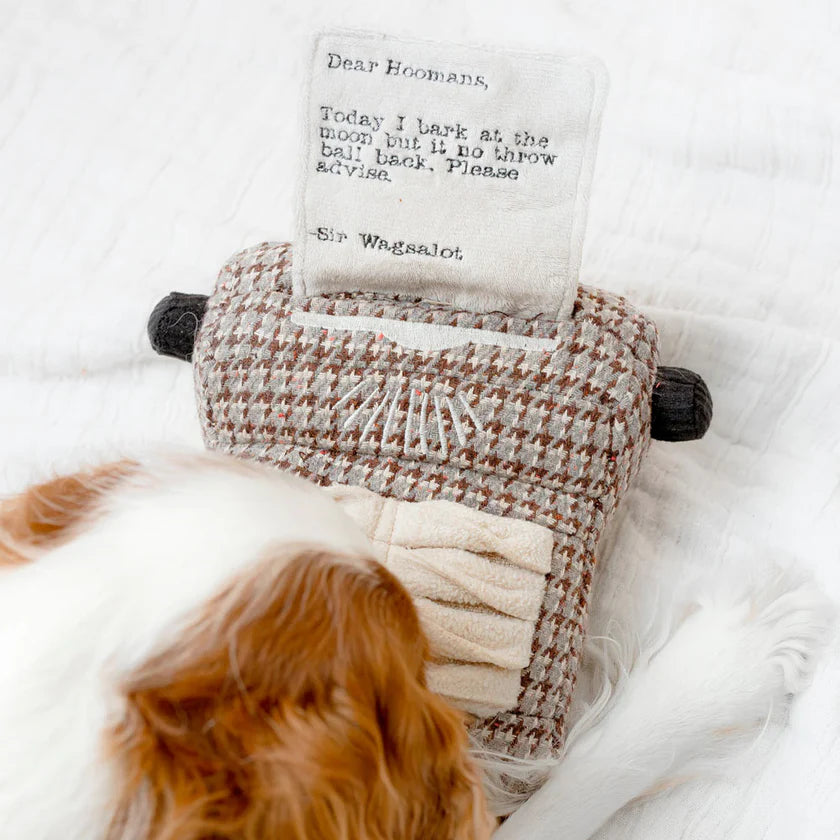 Sniffing toy typewriter