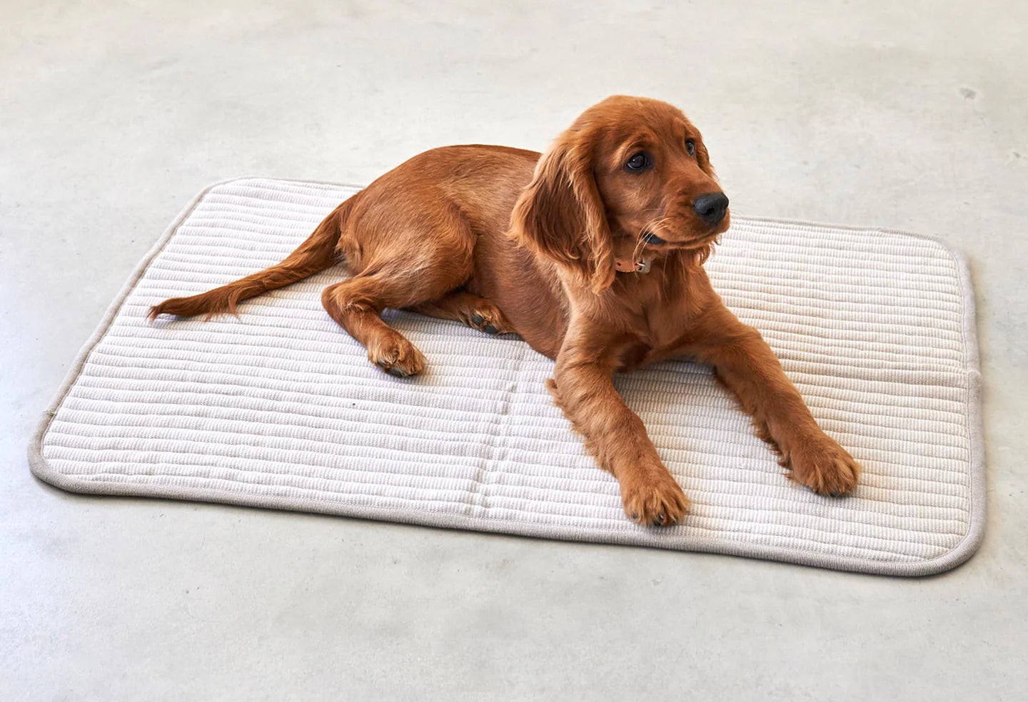 Onda Hundedecke in greige