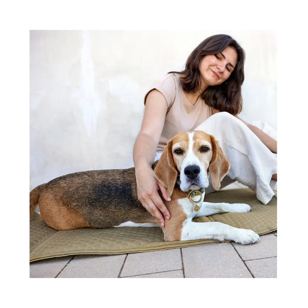 Dog Travel Bag Nobo sage
