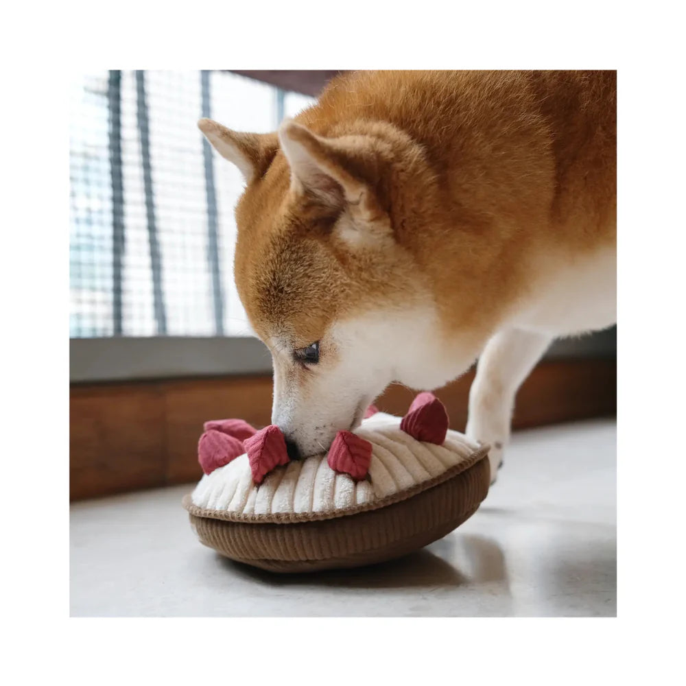 Sniffing toy Berry Pie