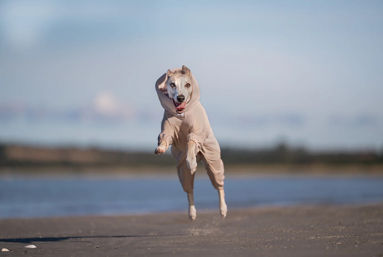 Trail Quest Fleece Overall in sand