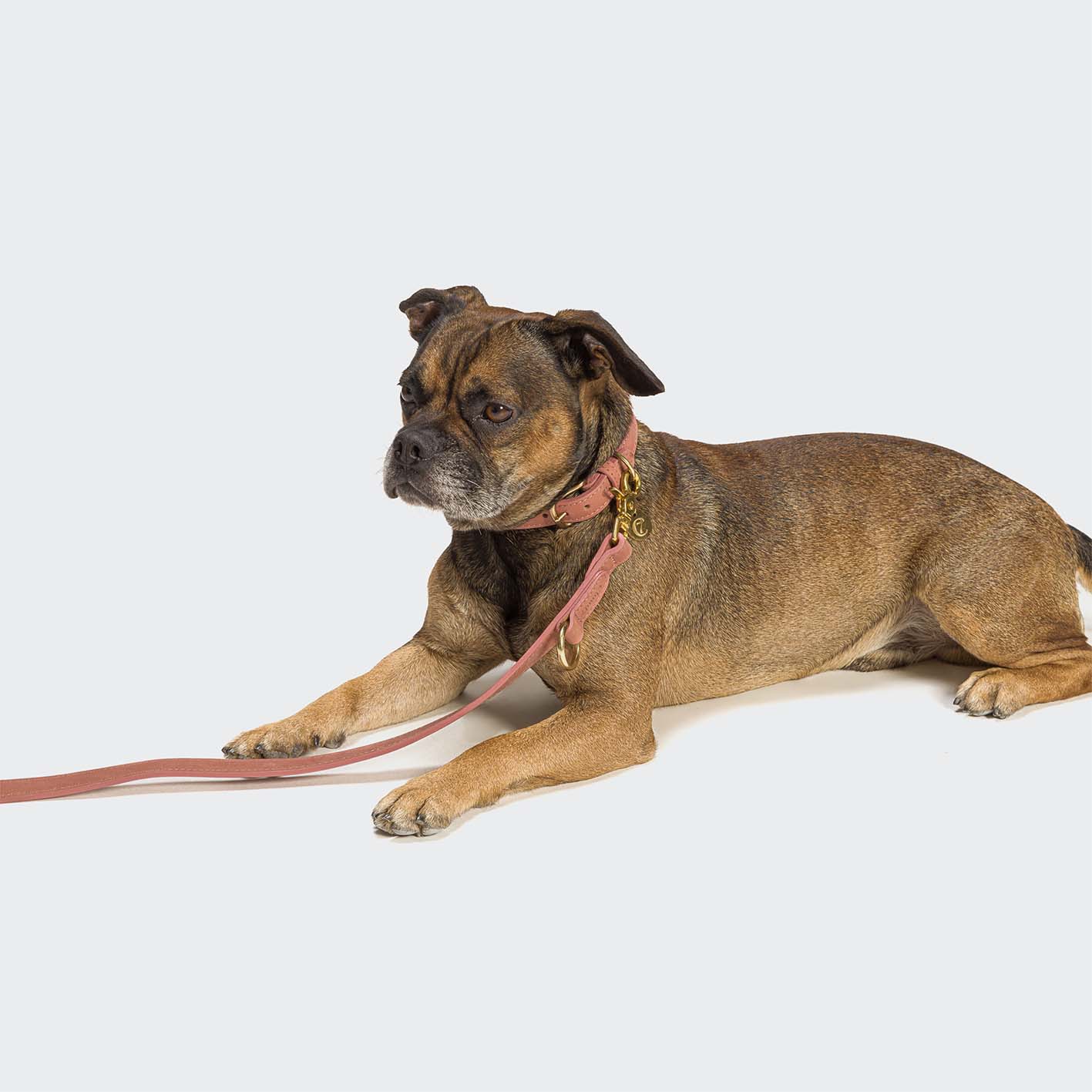 Halsband Tiergarten Peach