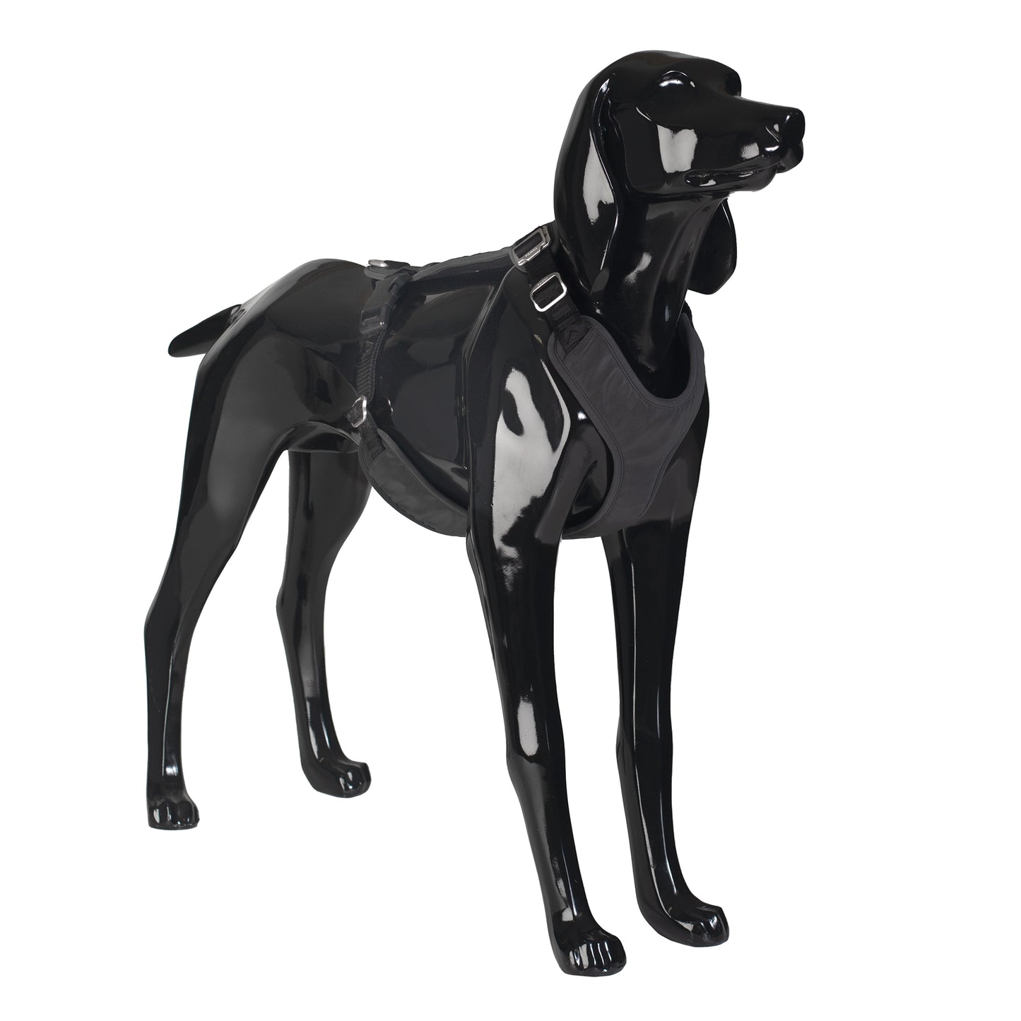 Visibility Hundegeschirr Dark