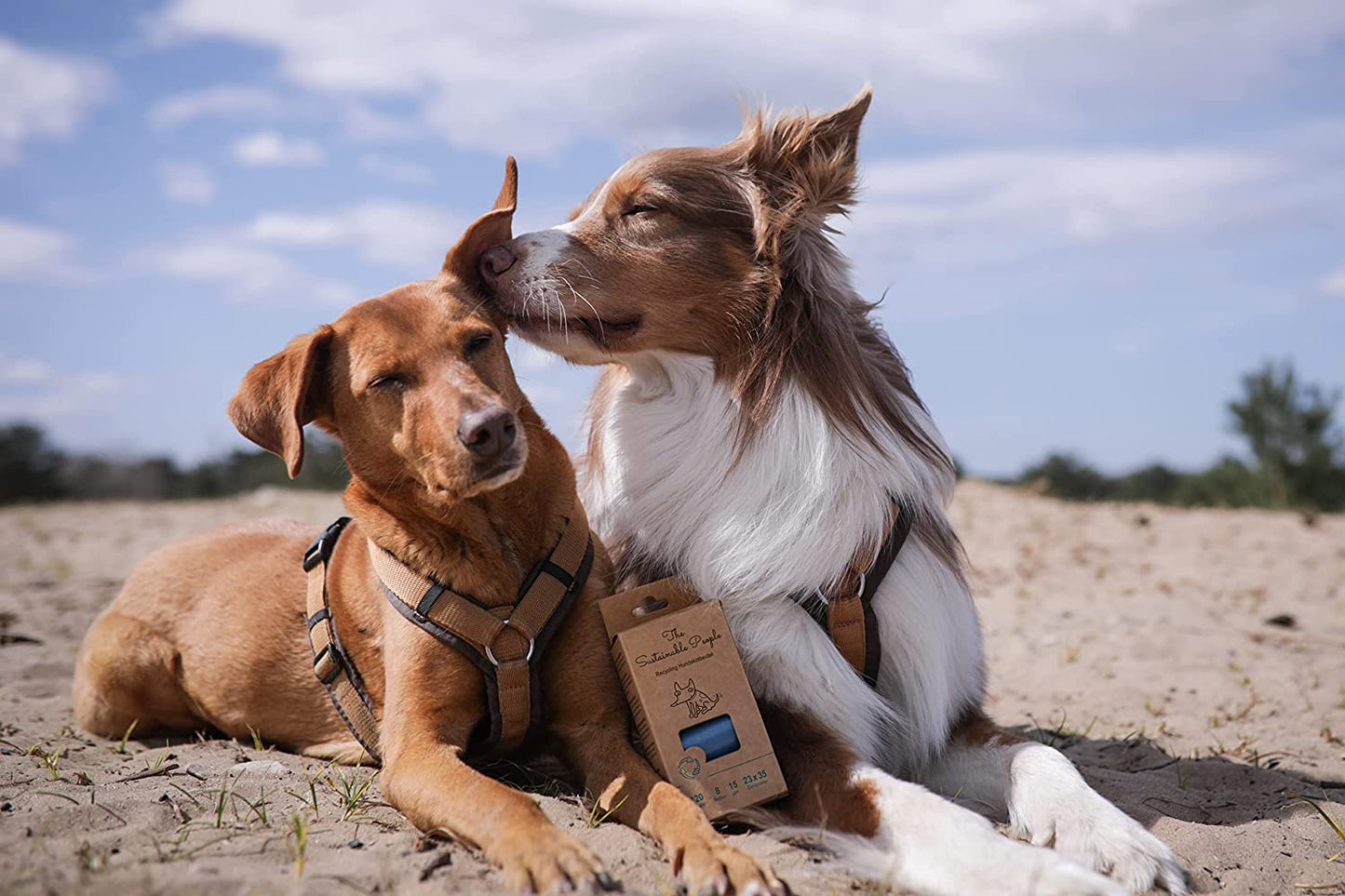 TSP Recycling Hundekotbeutel 8er Pack