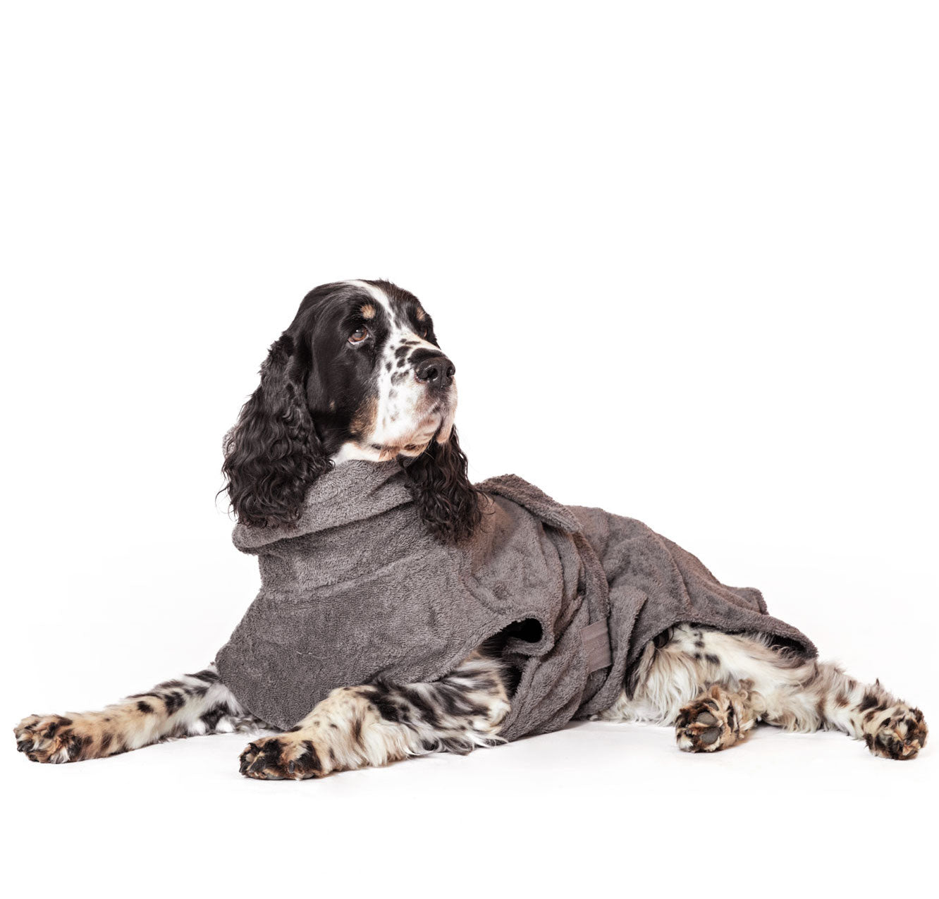 Hundebademantel aus Bio-Baumwolle "Stone Grey"