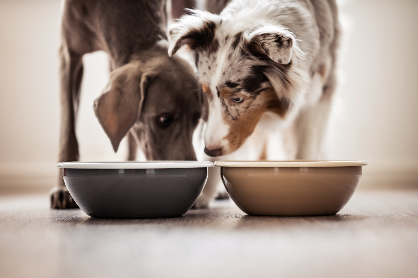 Futternapf aus Emaille "Balu" Sand