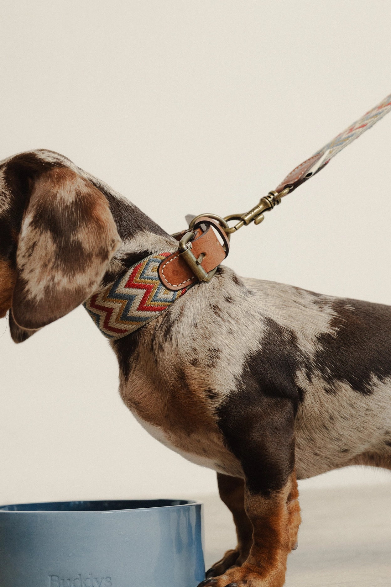 Hundehalsband Zigzag Naya