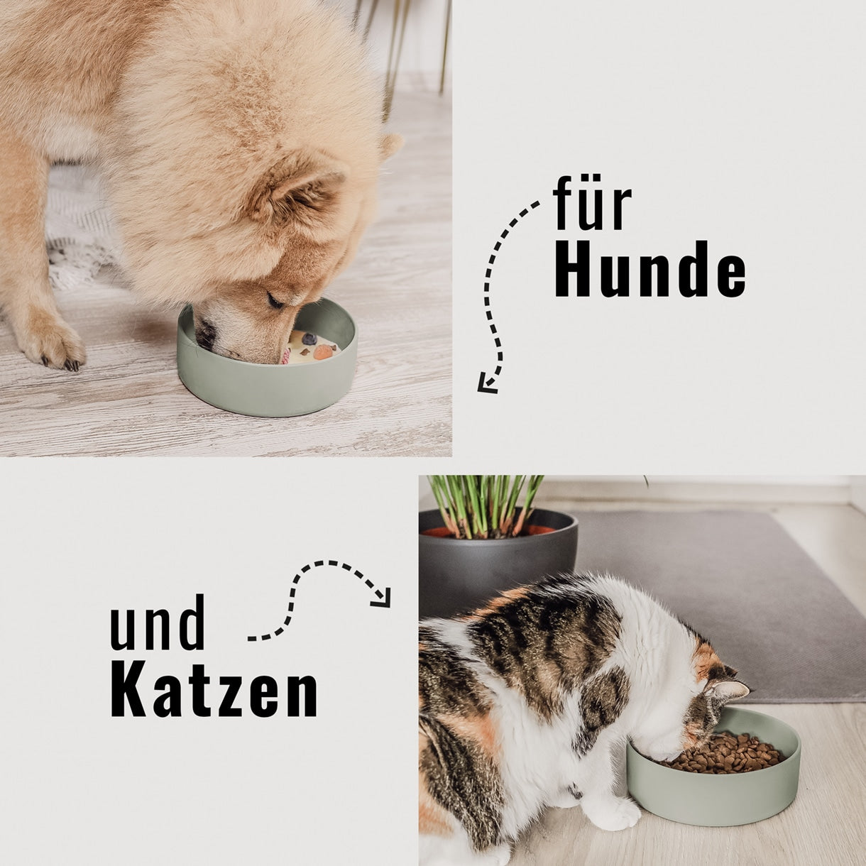 Silikon-Futternapf in sage green