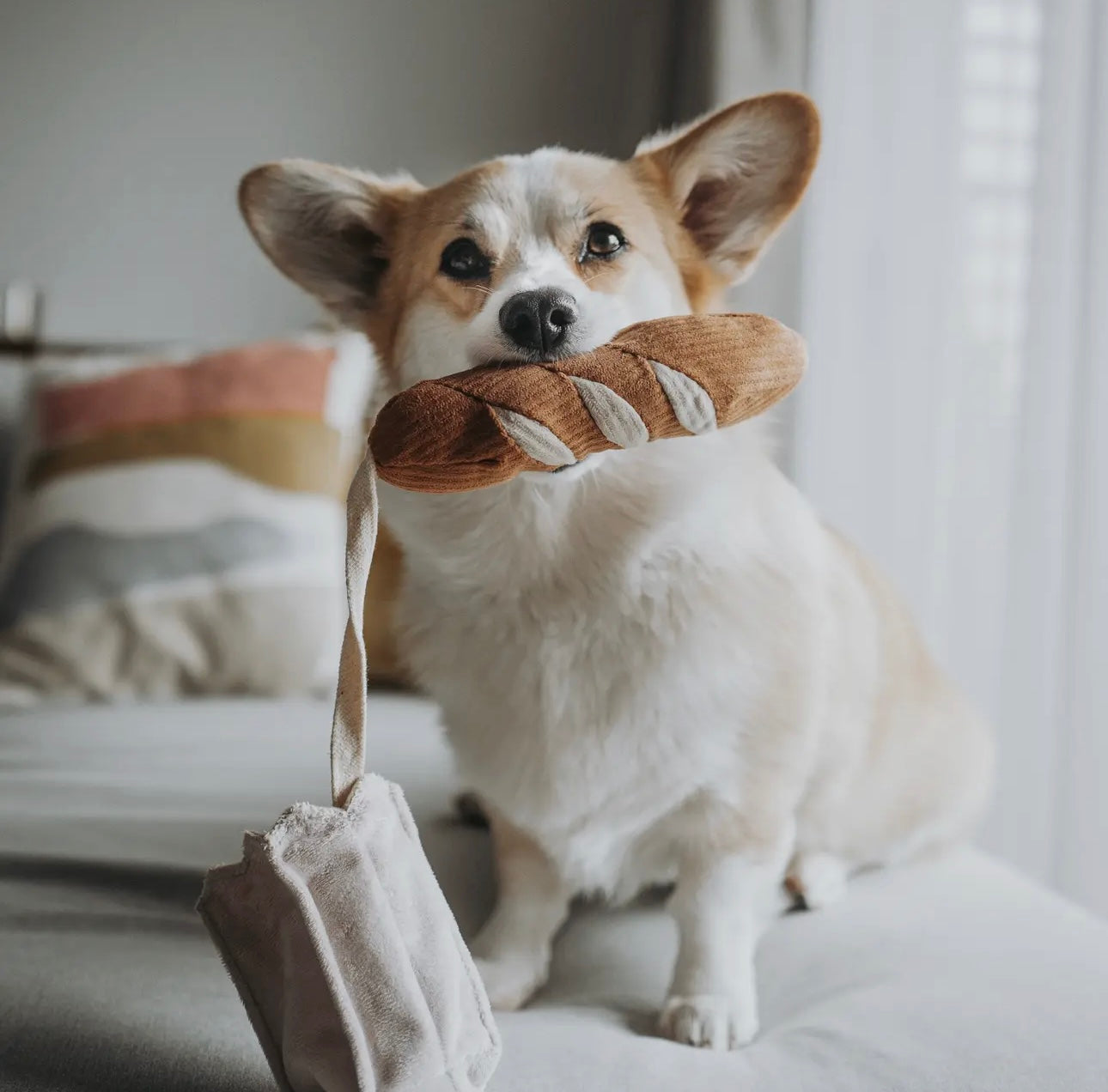 Mini Baguette Schnüffelspielzeug