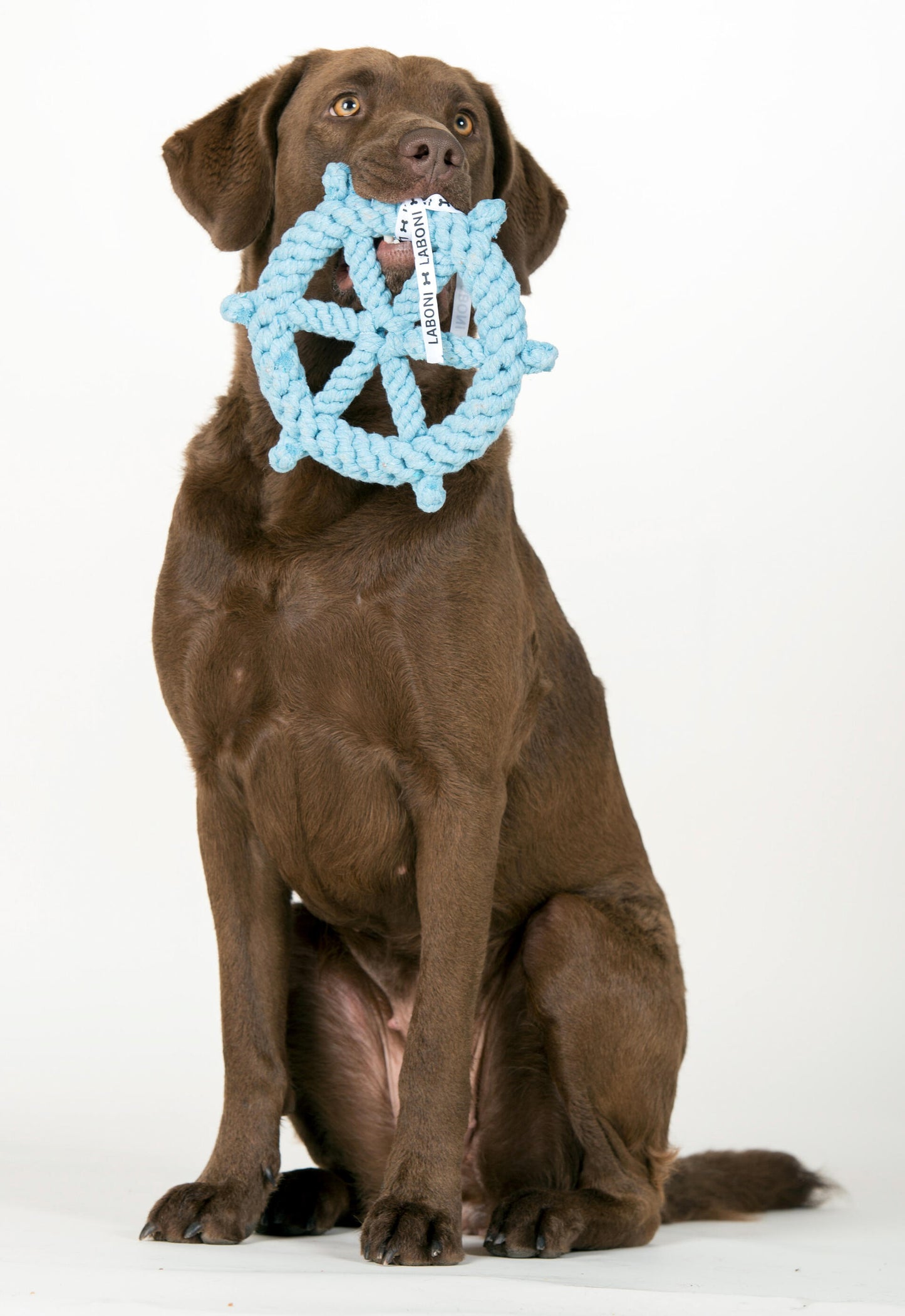 Hundespielzeug Skipper