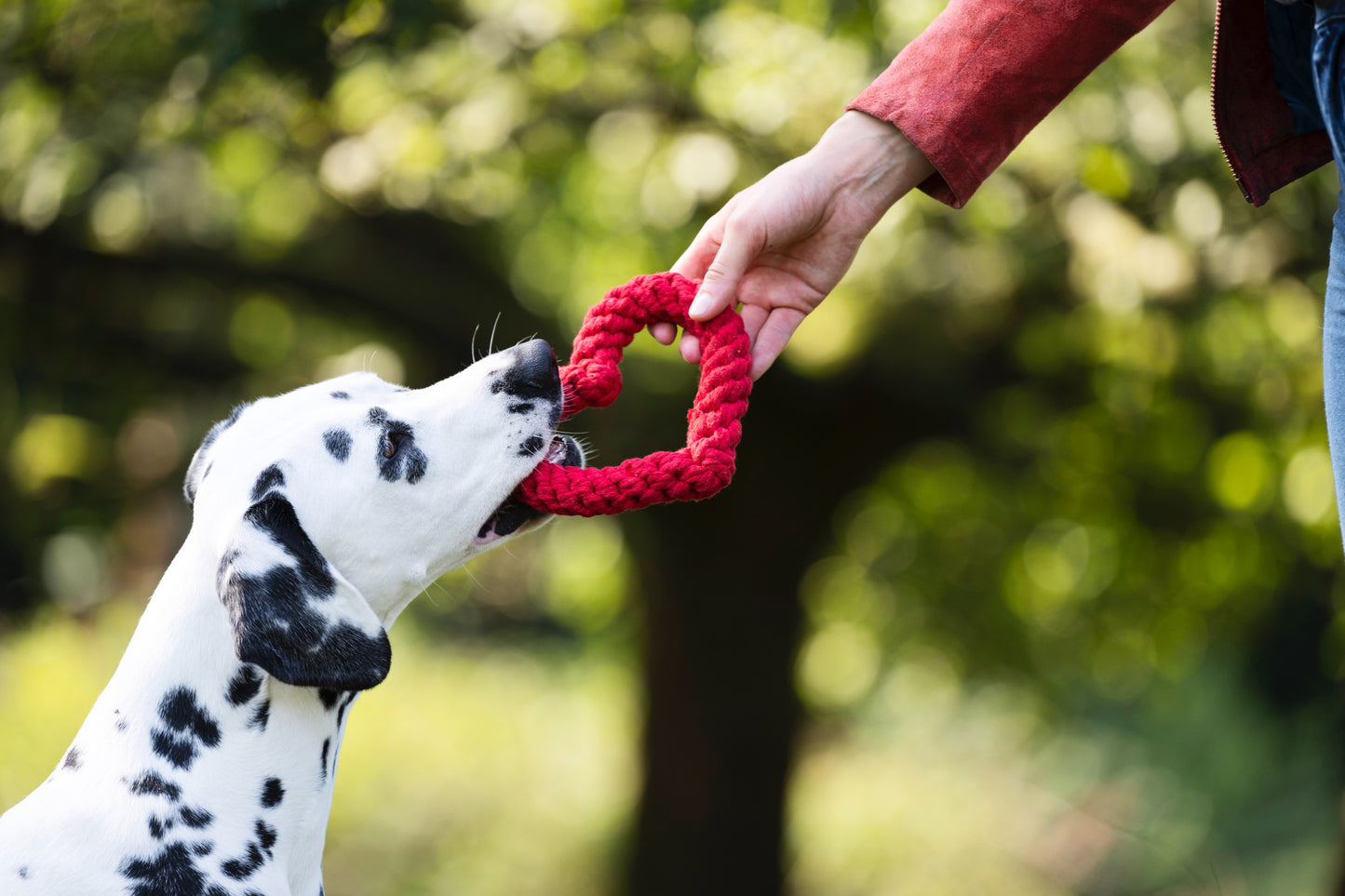 Hundespielzeug Hertha Heart