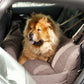 Clara Hundeautositz XXL | Limited Edition