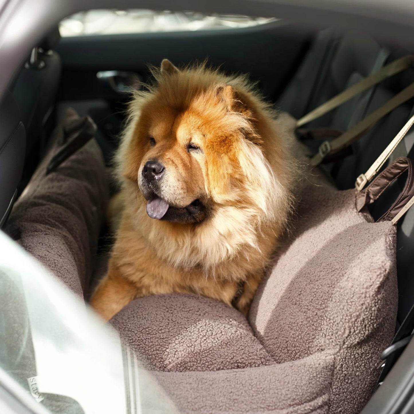 Clara Hundeautositz XXL | Limited Edition