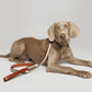 Hundehalsband Baseball Grau