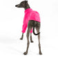 Pullover in Magenta für Italienisches Windspiel