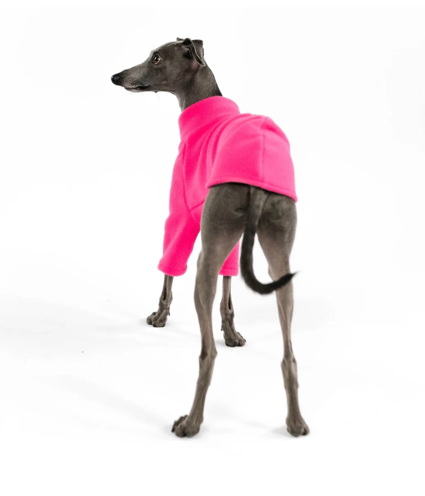 Pullover in Magenta für Italienisches Windspiel