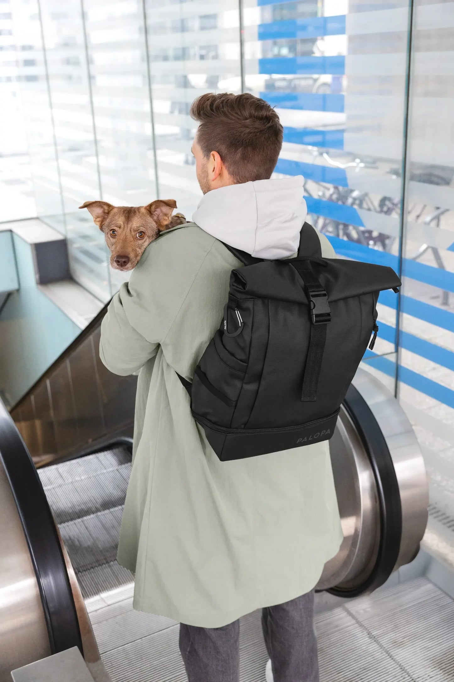 Rolltop Rucksack - Yoska, Schwarz