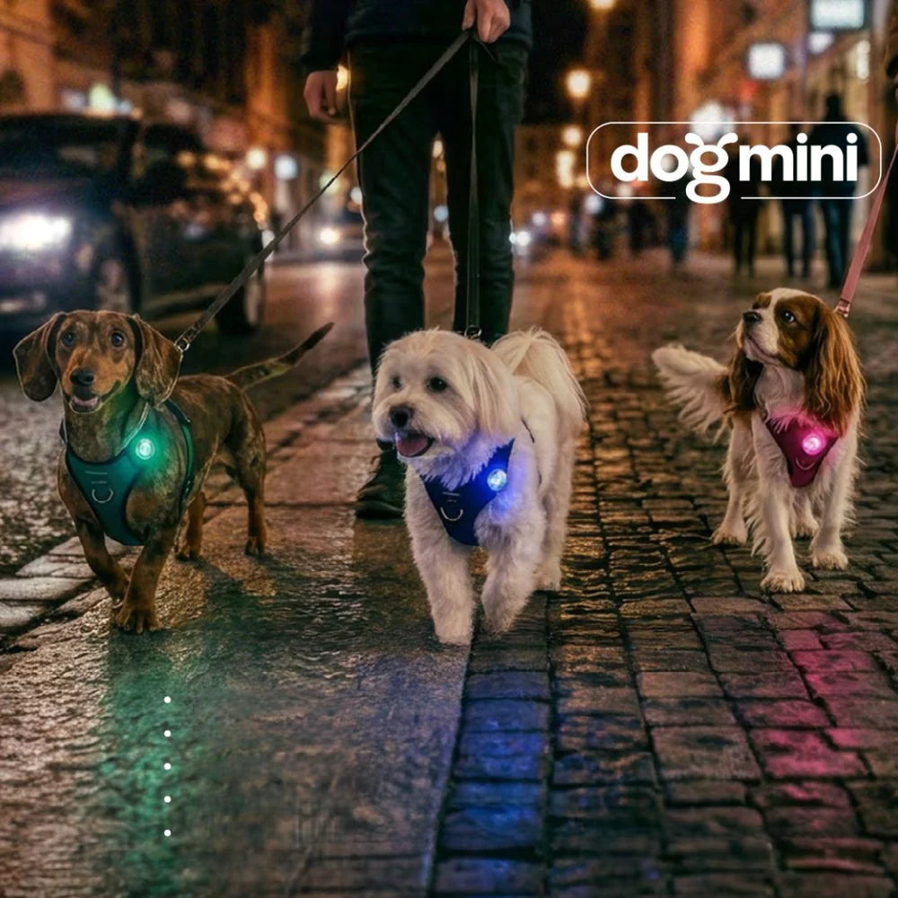 Orbiloc Dog Mini safety light mint