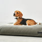 Comodo Hundekissen Salbei
