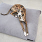 Comodo Hundekissen Schiefer