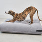 Comodo Hundekissen Schiefer