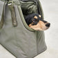 Sporta Hundetragetasche in grolive