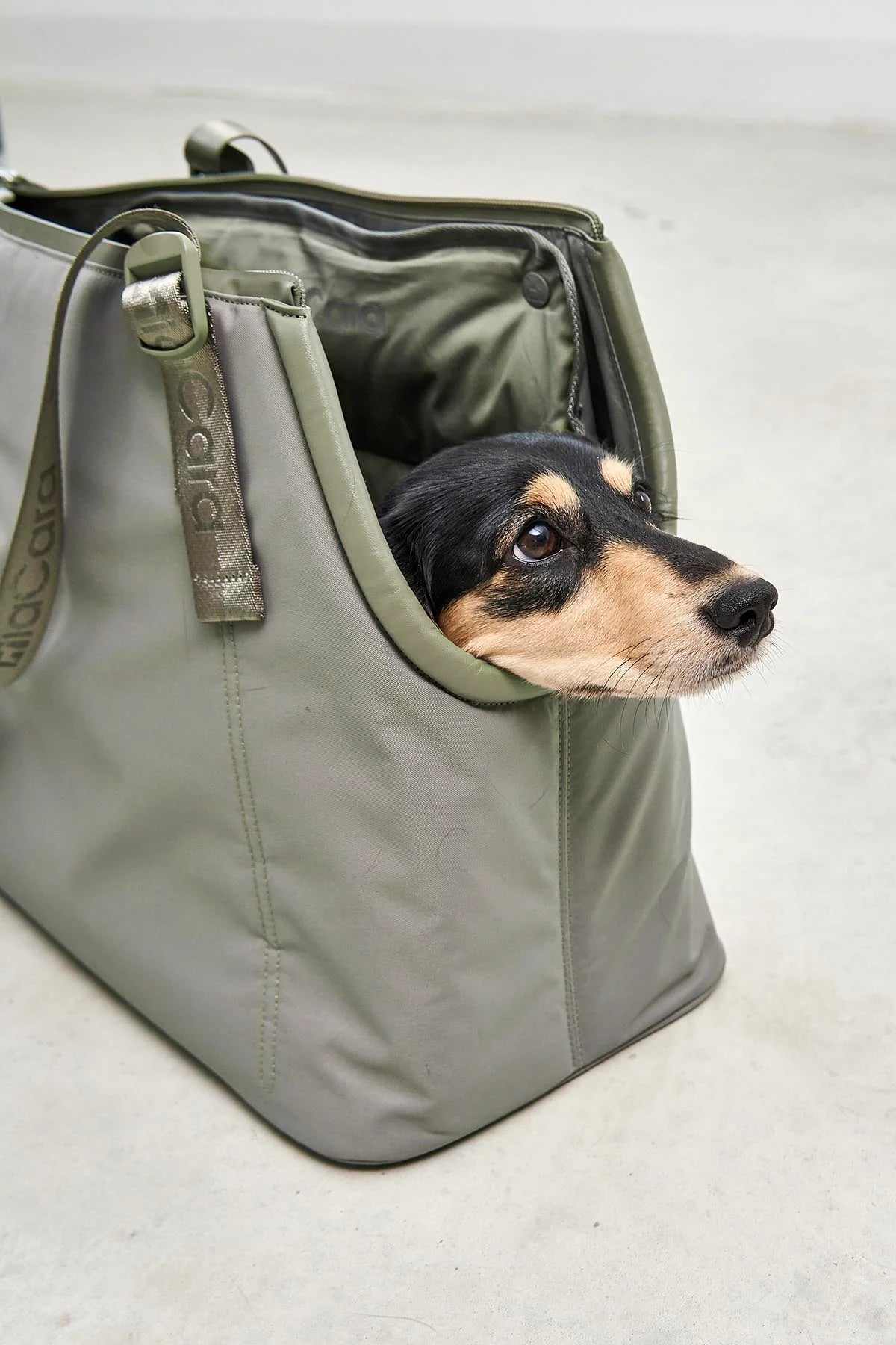 Sporta Hundetragetasche in grolive