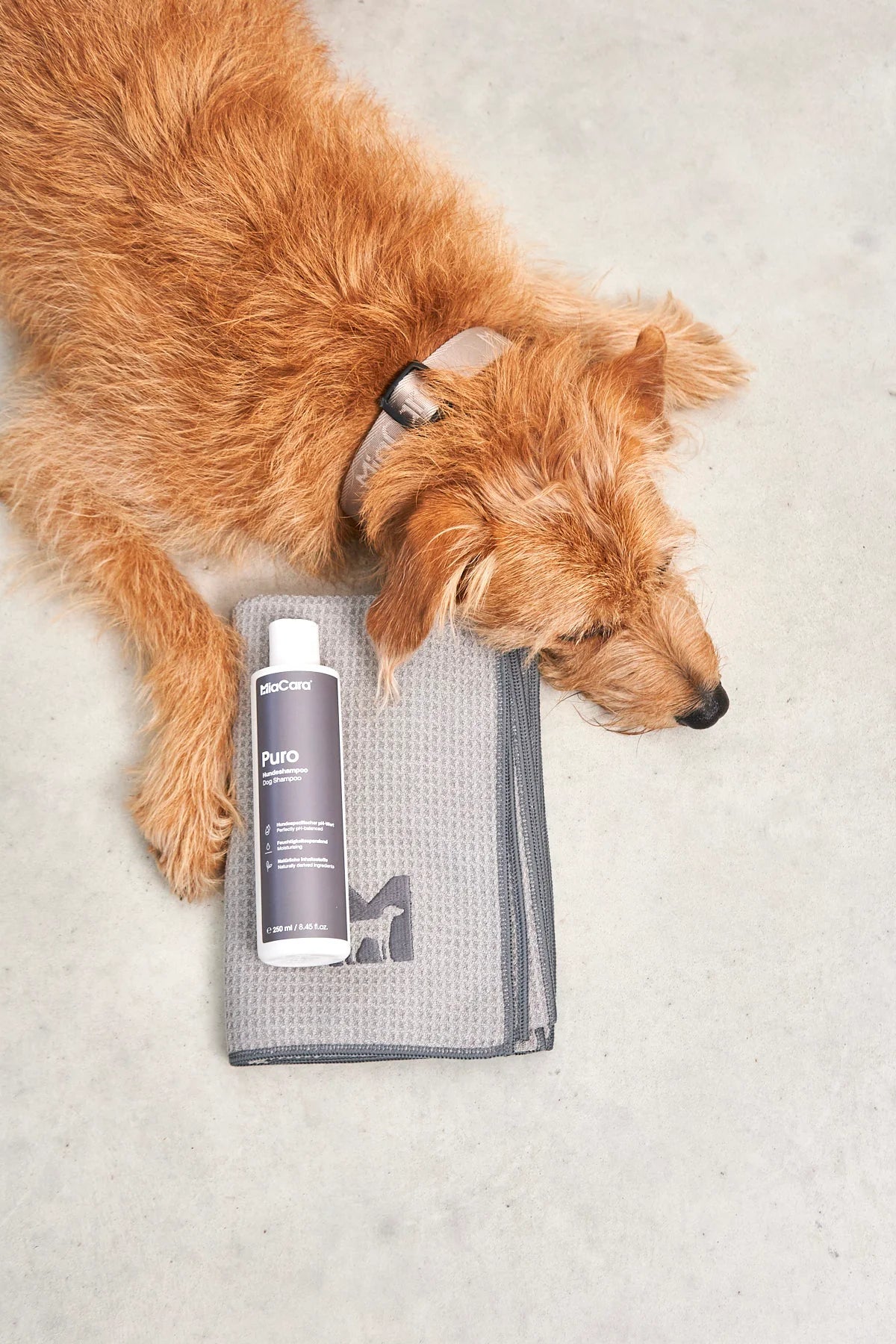 Puro Hundeshampoo