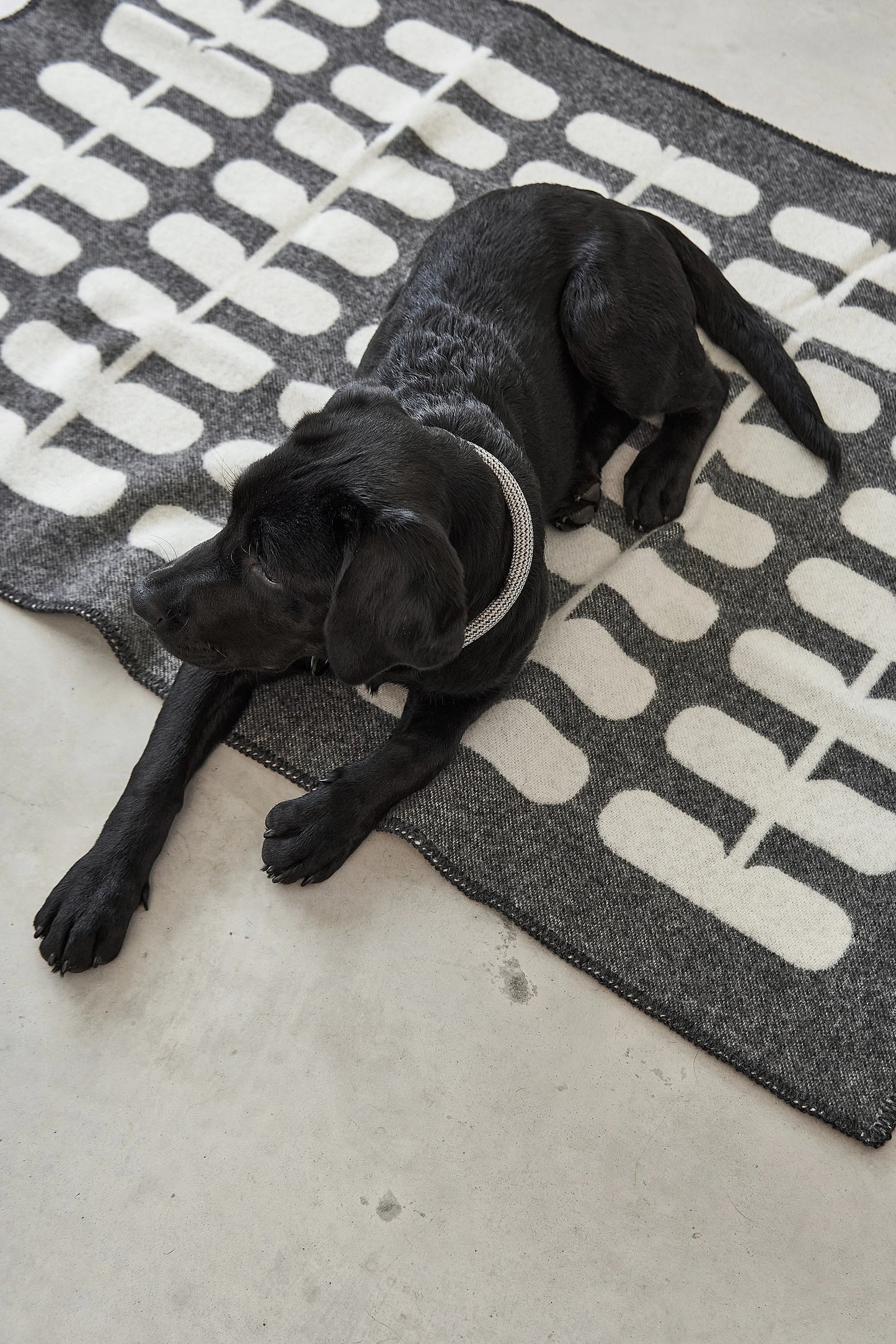 Flora Hundedecke Cappuccino – Natur