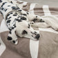 Hundedecke Blocco taupe