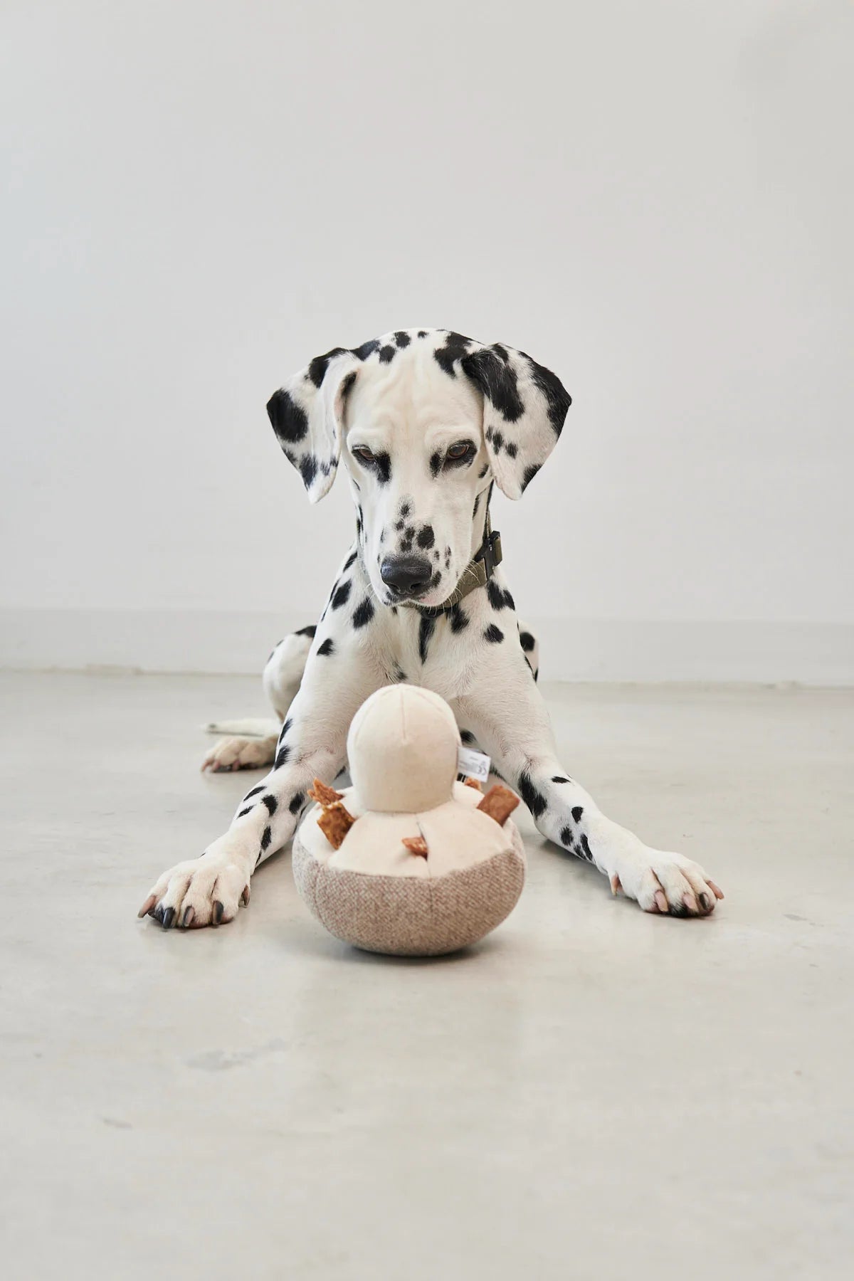 Foresta Pilz (Greige)