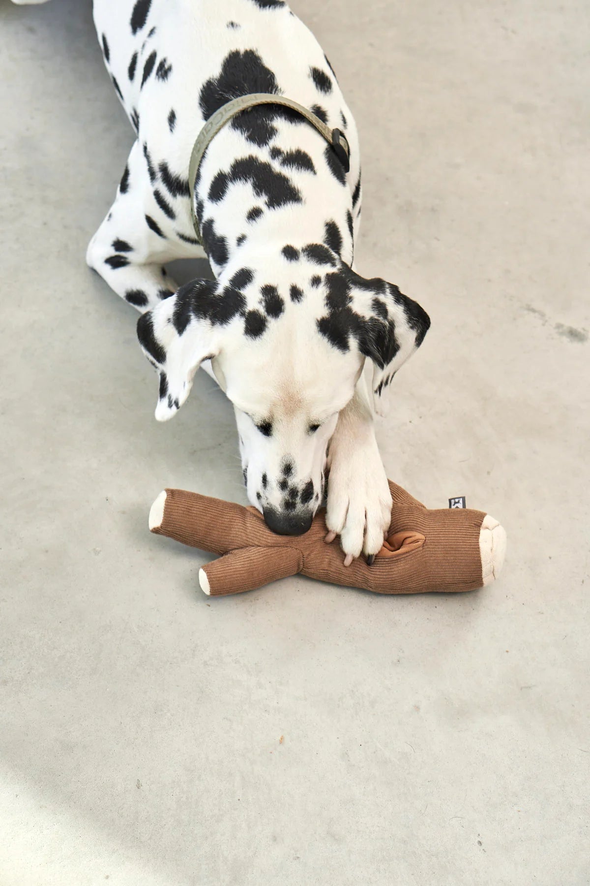 Foresta Zweig (Braun)