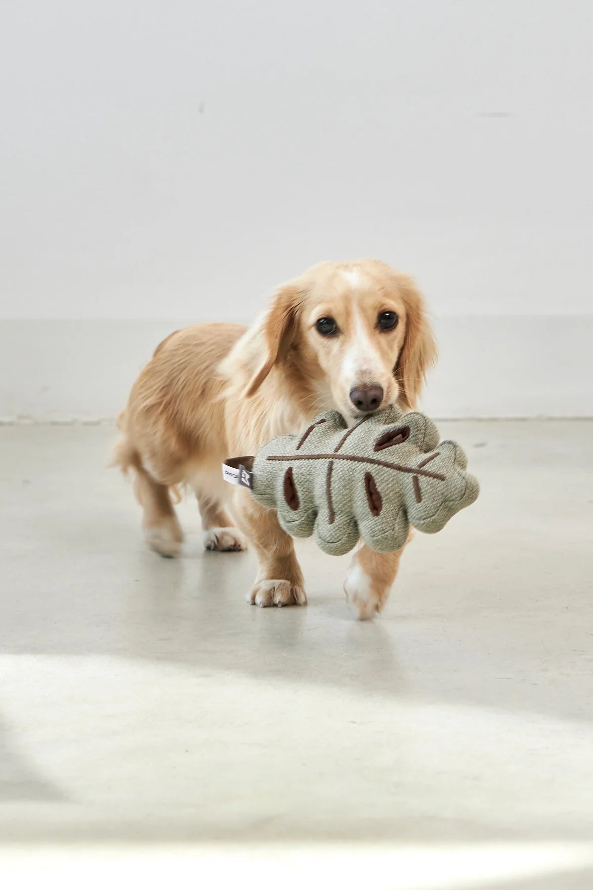 Foresta Blatt (Grün)