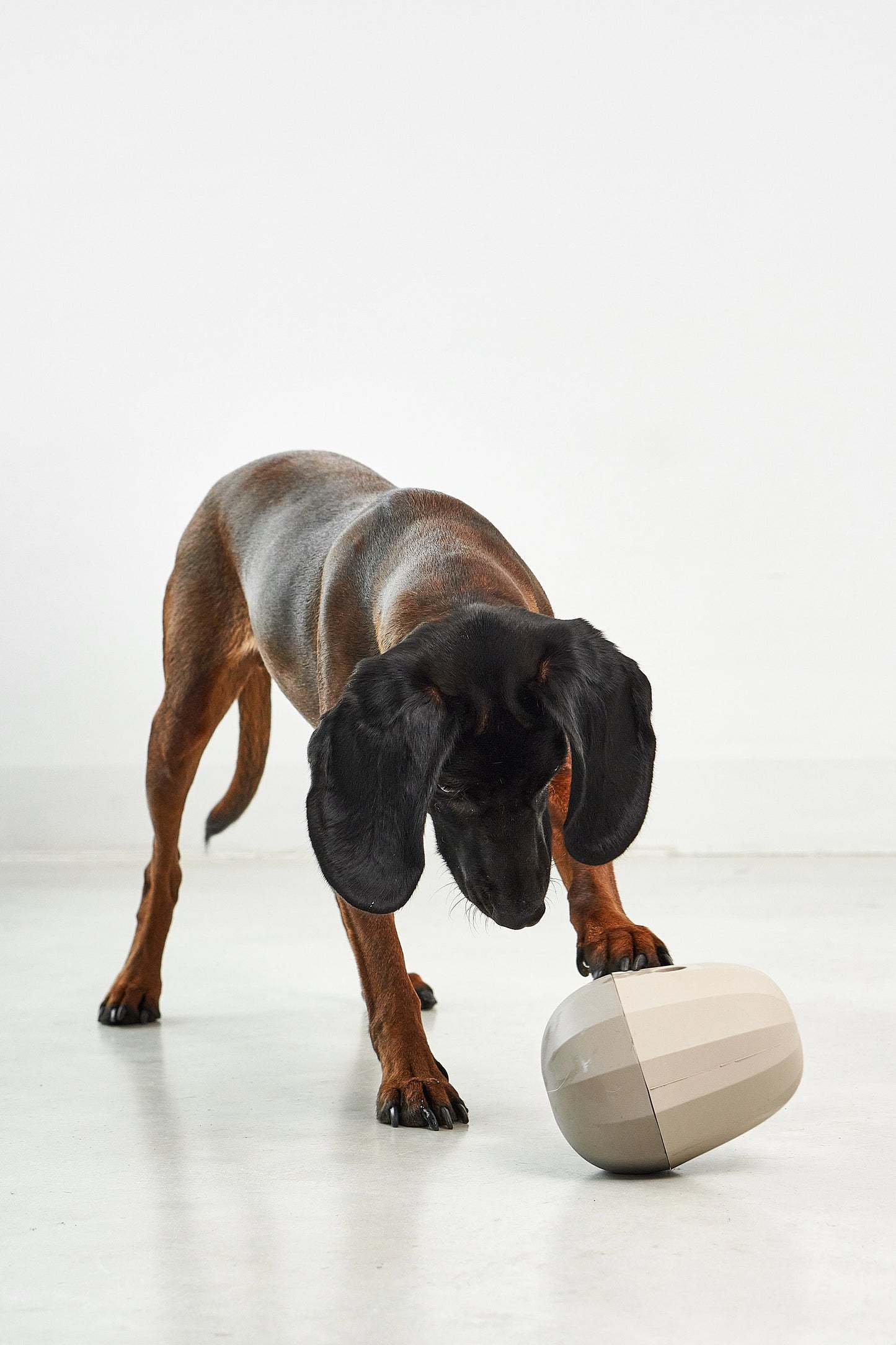 Uovo Beschäftigungsspielzeug greige