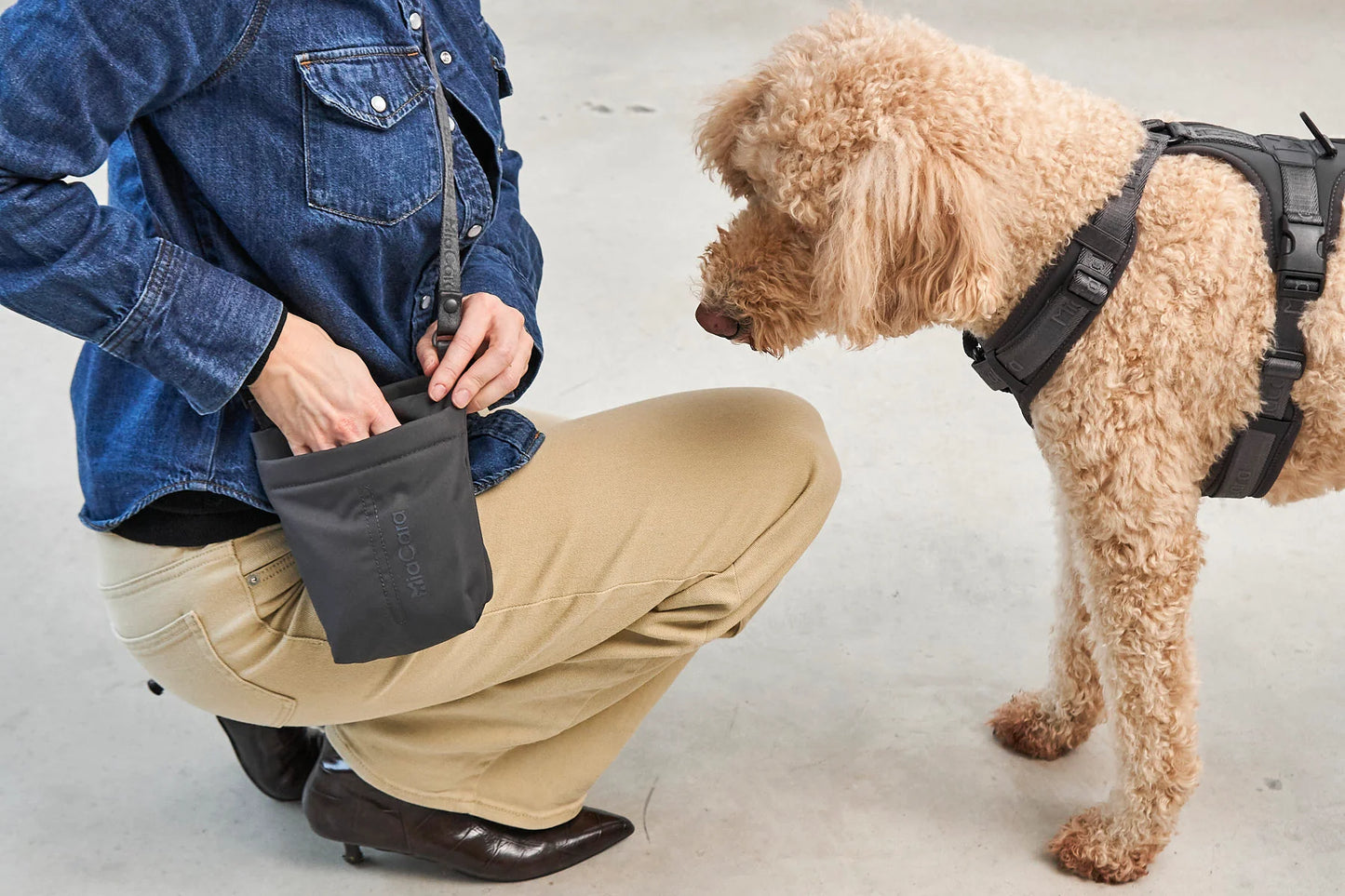 Gusto 2.0 in asphalt