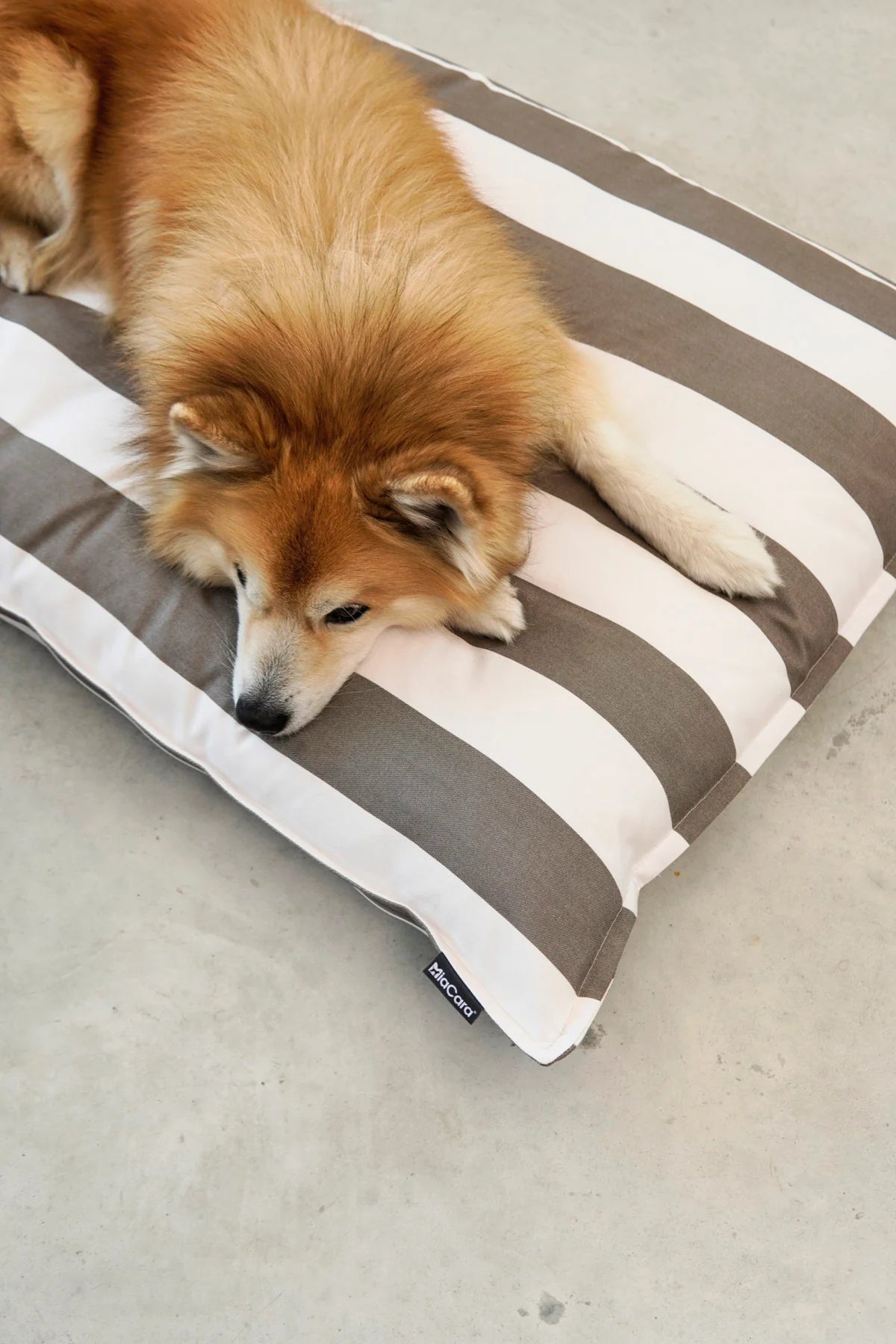 Outdoor Hundekissen Giardino
