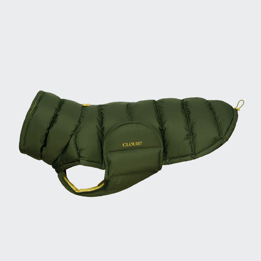 Dackelmantel Winter Alaska Olive (2024)