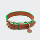 Hundehalsband Kings Park Cognac/Green